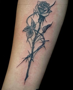 Screenshot 2023-08-24 at 4.03.39 PM